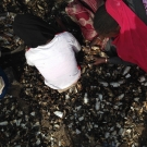 Senegalese women process dried fish in the coastal town of Joal.