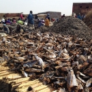 Tons of fish are dried and processed by hand every year in Joal.