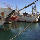 The notorious illegal fishing vessel Asian Warrior (far right) was captured in Dakar harbor.