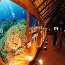 2-living-oceans-foundation-expo-54