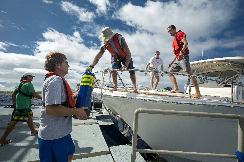 pyf_goldenshadow_1941