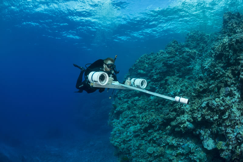Brett Taylor with his stereo video camera. With this 3D device and a specialized software he measures the size of parrotfishes.