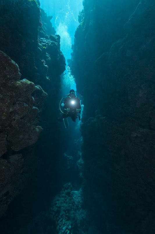 Philip Renaud, Executive Director of the Khaled bin Sultan Living Oceans Foundation, swims through a deep crevice of coral on the Great Barrier Reef.