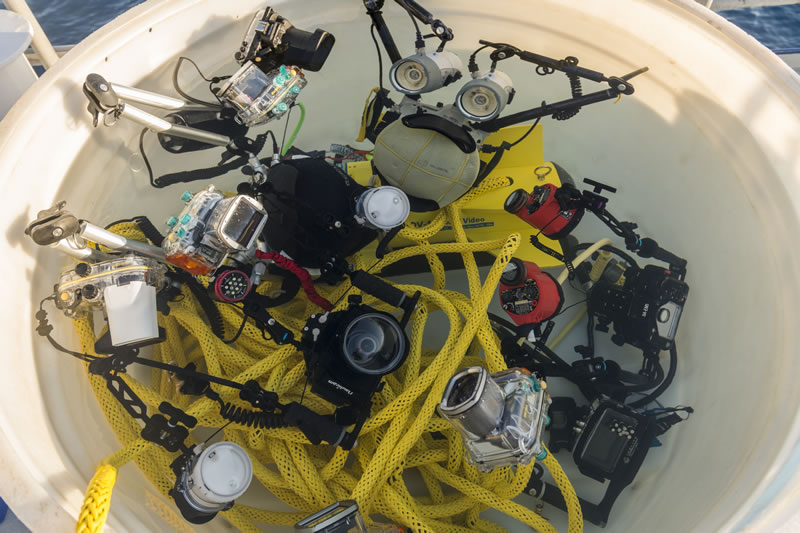 Scientists rinse off their underwater cameras in fresh water bin after diving on the Great Barrier Reef.