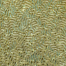 Meandering coral (Platygura sp.)