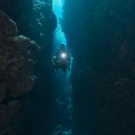 Philip Renaud, Executive Director of the Khaled bin Sultan Living Oceans Foundation, swims through a deep crevice of coral on the Great Barrier Reef.