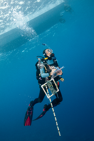 Scientist, Marie Kospartov, specialist on ocean corals surfacing with all her equipment.