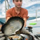 Researcher, Simon Van Wynsberge, displaying open oyster with symbiotic shrimp inside.