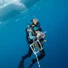 Scientist, Marie Kospartov, specialist on ocean corals surfacing with all her equipment.