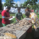 Sea Cucumber Harvesting