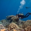 Joao Monteiro surveying reef system.