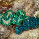 Giant clam surrounded by Coscinaraea coral.