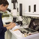 Scientist, Jenna Moore, using camera and microscope system to identify tiny marinelife collected.