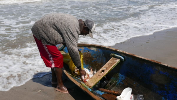 A fisherman in Honduras unloads his catch.