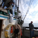 Carl Hedderson, a groundfish fisherman in St. John\'s, Newfoundland.