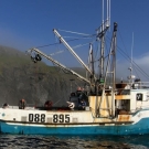 Fishing for cod in Newfoundland aboard the Mary Benetta