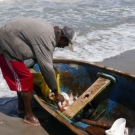 A fisherman in Honduras unloads his catch.