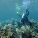 Agnessa Lundy works on a transect.