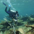 Agnessa Lundy works on a transect.