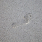 Not Robinson Crusoe but a footprint on a pristine section of the beach.