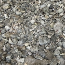 Pavement of coral rubble along the beach on Middle Brother.