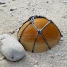 Plastic fishing net float buoy buried in the beach sand.