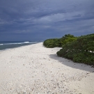 View along the beach on Danger Island.