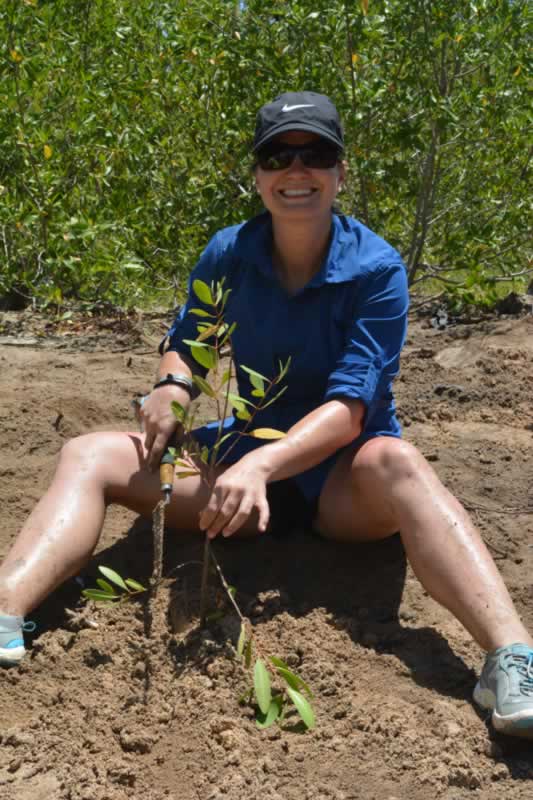Lauren Thayer, Lousiana State University Alumni, plants mangrove trees at the JAMIN mangrove restoration site in Falmouth, Jamaica.