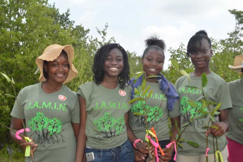William Knibb High School students get ready to plant their mangrove propagules at the Falmouth restoration site.