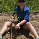 Lauren Thayer, Lousiana State University Alumni, plants mangrove trees at the JAMIN mangrove restoration site in Falmouth, Jamaica.