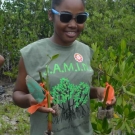 A young lady from Holland High School proudly holds up her mangrove propagules.