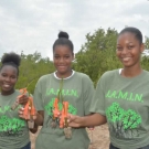 Biology students from Holland High School say goodbye to their baby mangroves.