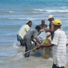 Local fisherman who worked with the Foundation to help set up fish sanctuaries.