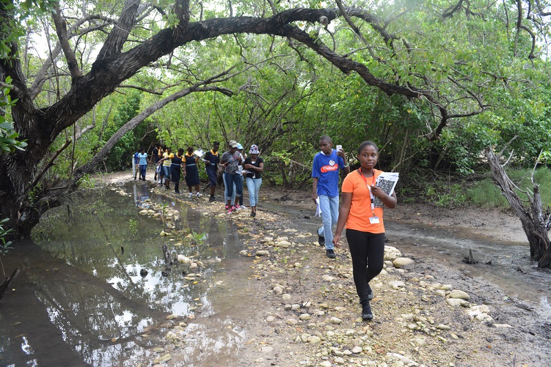 Students from Marcus Garvey Technical School going on their first mangrove field trip to learn about this unique ecosystem.