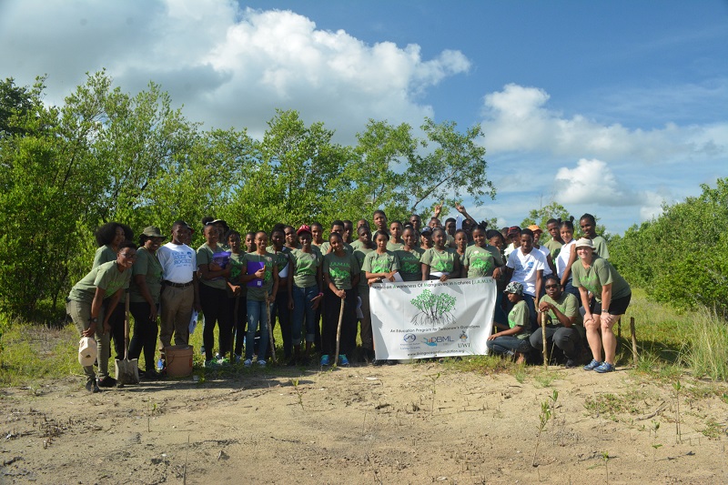 Wiliam Knibb High School J.A.M.I.N. year 2 participants at Falmouth mangrove site.