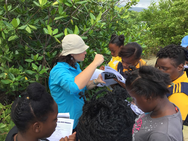 Director of Education, Amy Heemsoth helps 10th grade Biology students from Marcus Garvey to identify the different mangroves species.