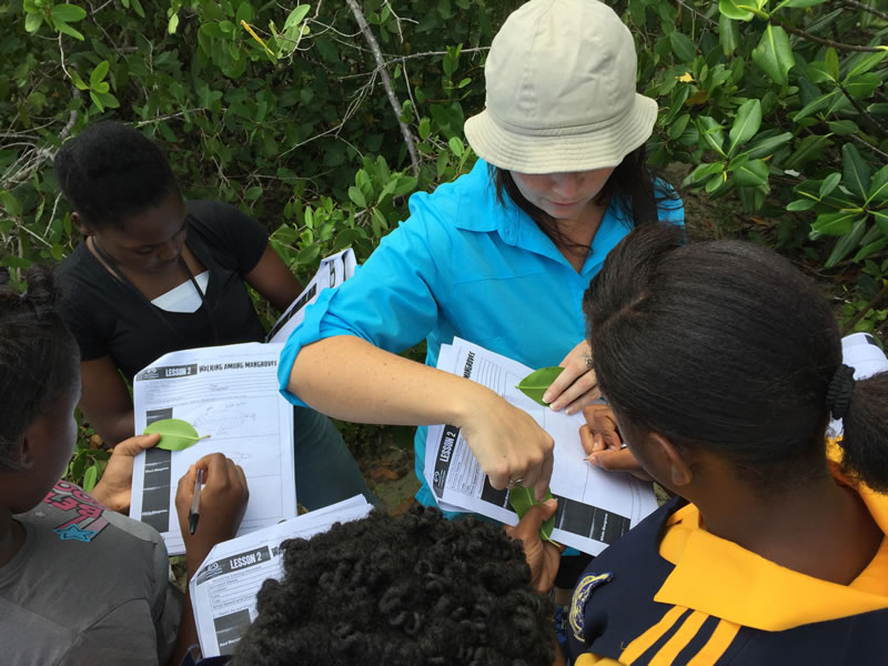 Students from Marcus Garvey put STEAM into action as they draw and label the different species of mangrove leaves. Director of Education, Amy Heemsoth helps to guide this process.