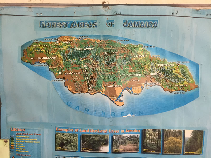 Often in the classrooms in Jamaica, there are educational posters hung around the room. This poster is of a map of the forests in Jamaica, including mangroves.