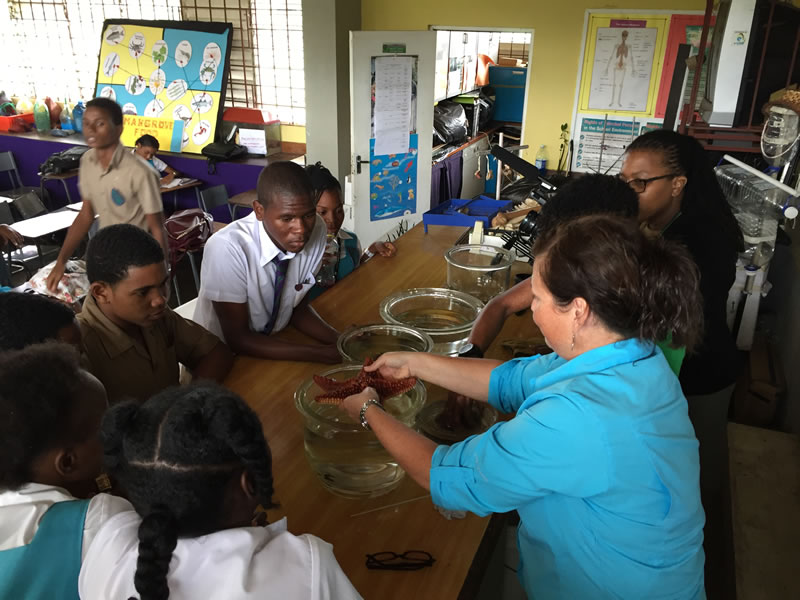 Amy Heemsoth, Director of Education discusses the role of sea stars in a mangrove ecosystem at William Knibb High School.