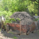 Coal burning in Jamaica - mangrove and other trees are cut down and burned to make coal for local hotel and personal consumption.