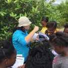 Director of Education, Amy Heemsoth helps 10th grade Biology students from Marcus Garvey to identify the different mangroves species.