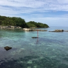 The spectacular backyard view of the Caribbean Sea at the University of the West Indies Discovery Bay Marine Lab.