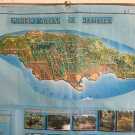 Often in the classrooms in Jamaica, there are educational posters hung around the room. This poster is of a map of the forests in Jamaica, including mangroves.