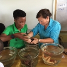 Shanna Thomas, University of the West Indies and Amy Heemsoth, Living Oceans Foundation work together to teach students about the animals and plants that are a part of the mangrove ecosystem.