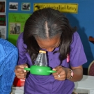 Science teacher at William Knibb High School gets a magnified look at a fire worm during a professional development session.