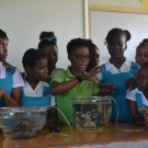 Discovery Bay Research Laboratory Outreach Officer, Shanna Thomas, teaches students at William Knibb High School about sea cucumbers and how they can eject their internal organs to escape predators and then later grow them back.