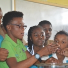 Discovery Bay Marine Lab Outreach Officer, Shanna Thomas discusses how brittle stars feed to students at William Knibb High School.