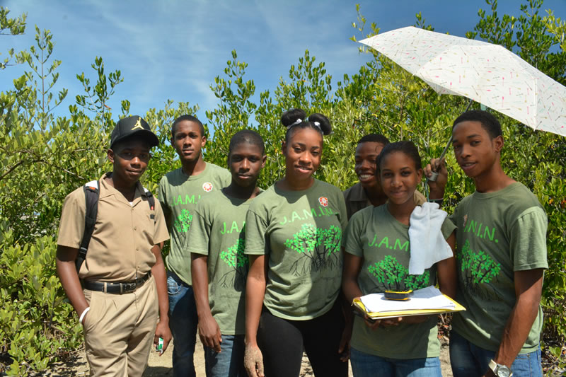 Although it is hot, students at William Knibb High School are determined to collect the data that they need to monitor their mangroves.