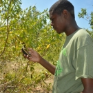 J.A.M.I.N. year 2 student from William Knibb High School prepares to use a GPS. The student will record the location of the mangrove trees that he and his group are monitoring in their mangrove plot and later the students will map the mangroves.