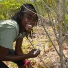 William Knibb student uses a paint pen to mark the location where she will measure the circumference of the mangrove tree trunk. This mark will be used to accurately measure the circumference in the future.